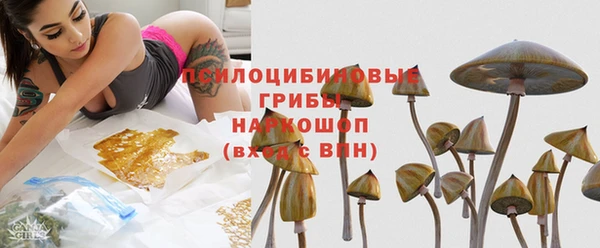 СК Михайловск