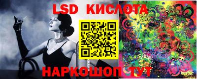 прущие крисы Кимры