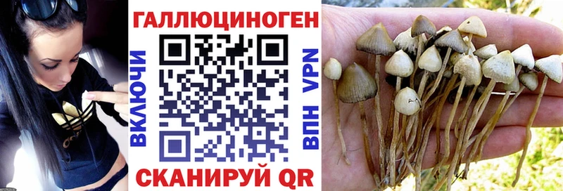 наркота  Полевской  blacksprut как зайти  Галлюциногенные грибы Psilocybine cubensis 