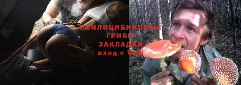 Галлюциногенные грибы MAGIC MUSHROOMS Полевской