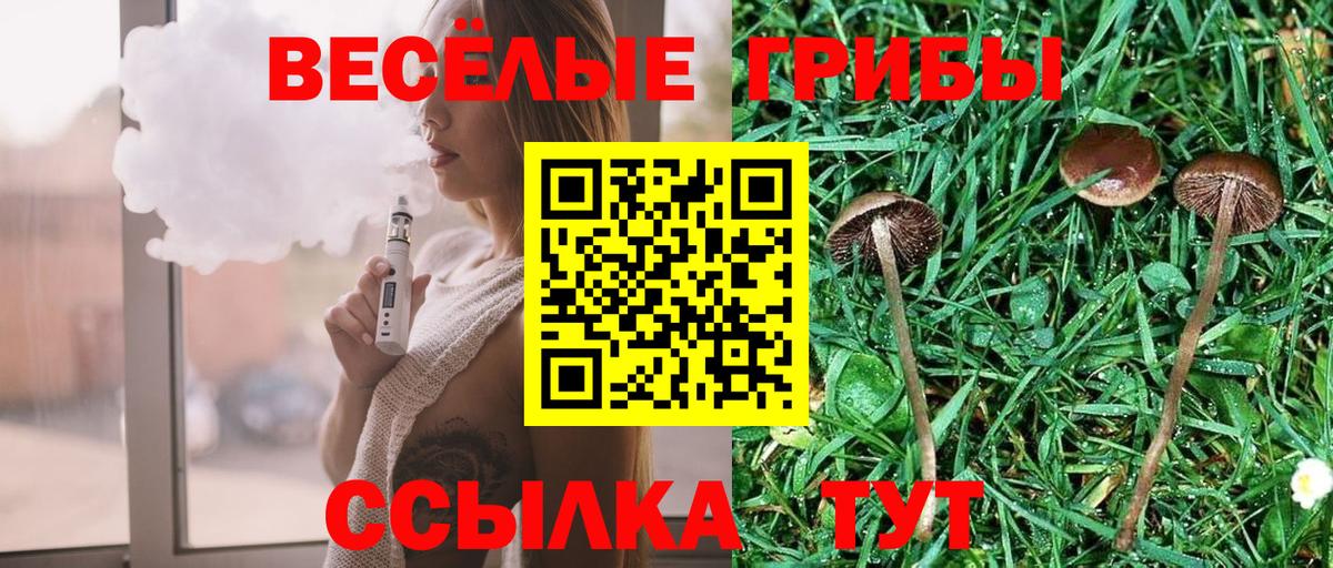 Галлюциногенные грибы мицелий  Псилоцибиновые грибы Cubensis  Полевской  Вход с VPN 