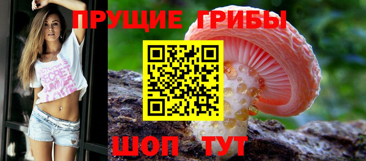 Псилоцибиновые грибы GOLDEN TEACHER Полевской